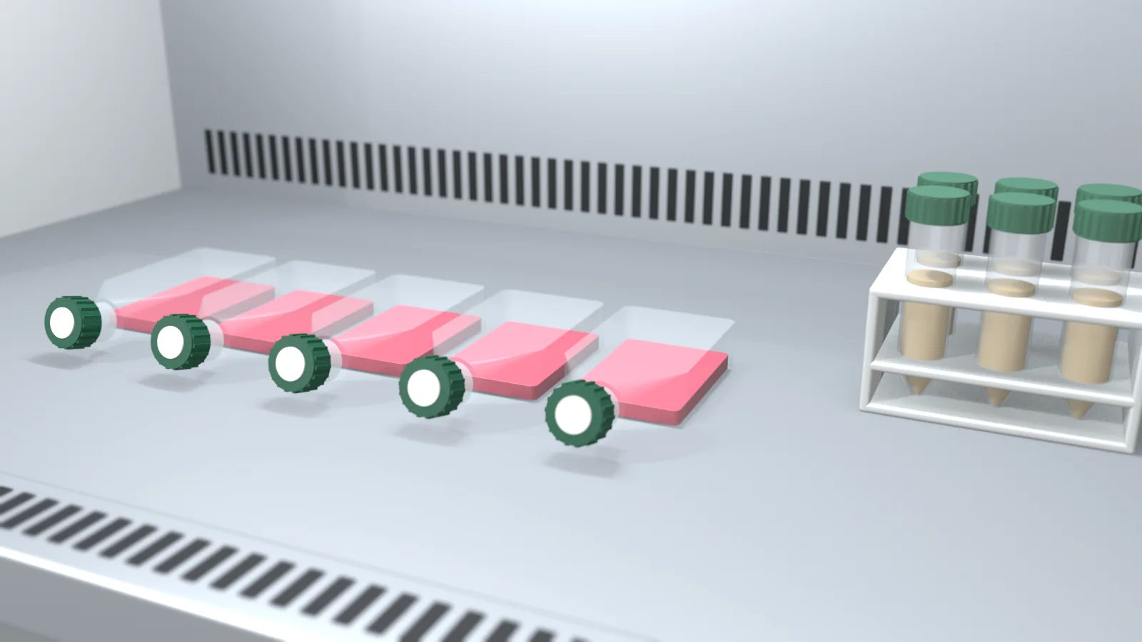 3D illustration of five sealed cell culture flasks with pink medium lying in a row on the steel work surface of a biosafety cabinet, beside a rack of six capped conical tubes